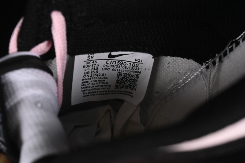 Nike Dunk Low Retro SB Casual Sneakers with Misty Sakura Design - CW1590-100