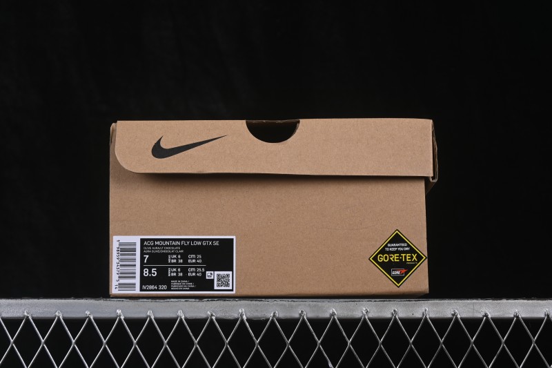 Nike ACG Mountain Fly Low GTX SE Outdoor Hiking Shoes - IV2864-320